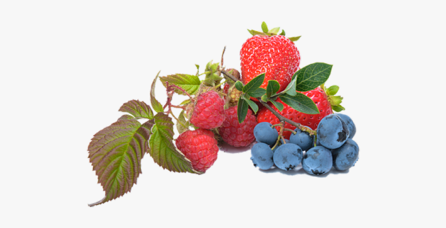 Raspberry Clipart Wild Berry - Blueberry And Strawberry Png, Transparent Clipart