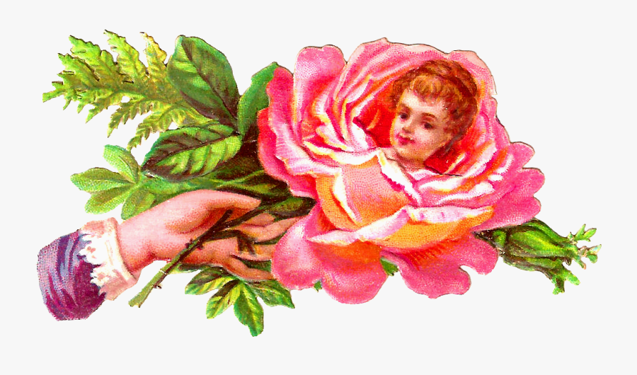 Rose With Face In Middle, Transparent Clipart