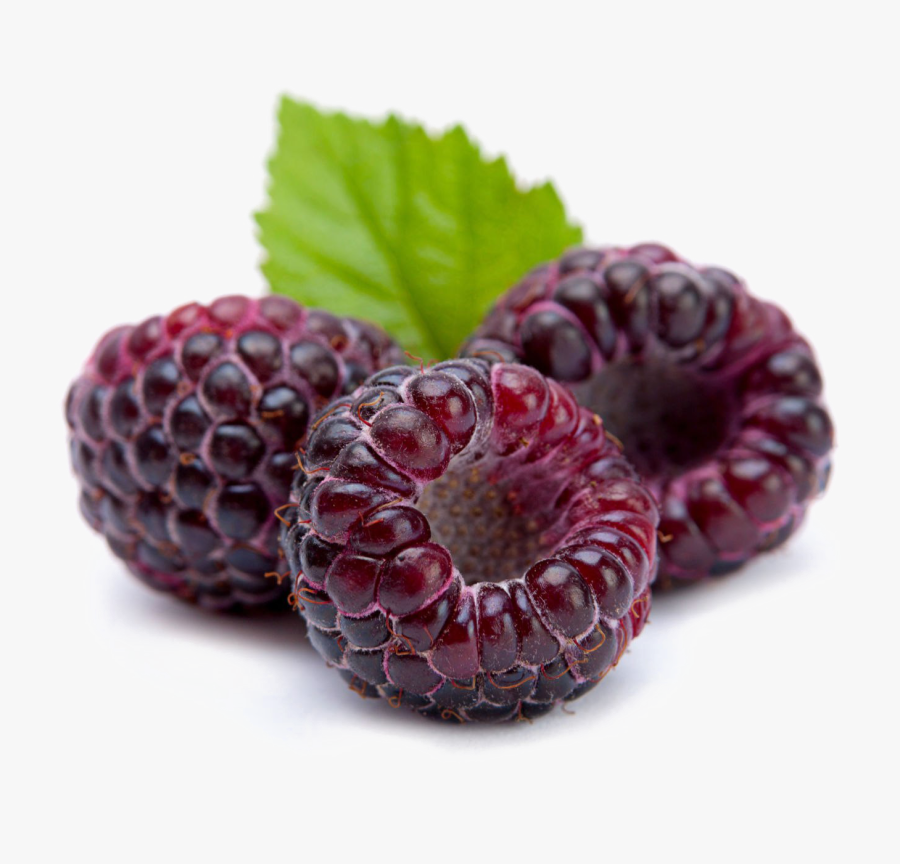Raspberry Png Image Background, Transparent Clipart