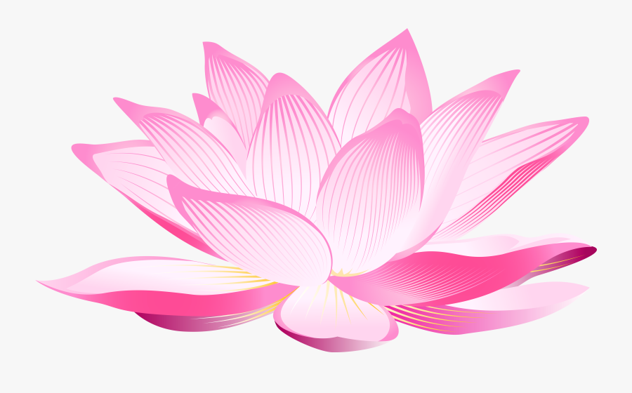 Lotus Flower Png Clip Art Image - Lotus Transparent Background, Transparent Clipart