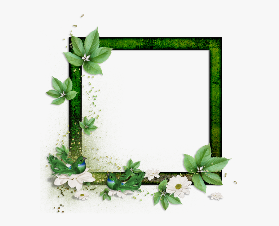 Portable Network Graphics, Transparent Clipart