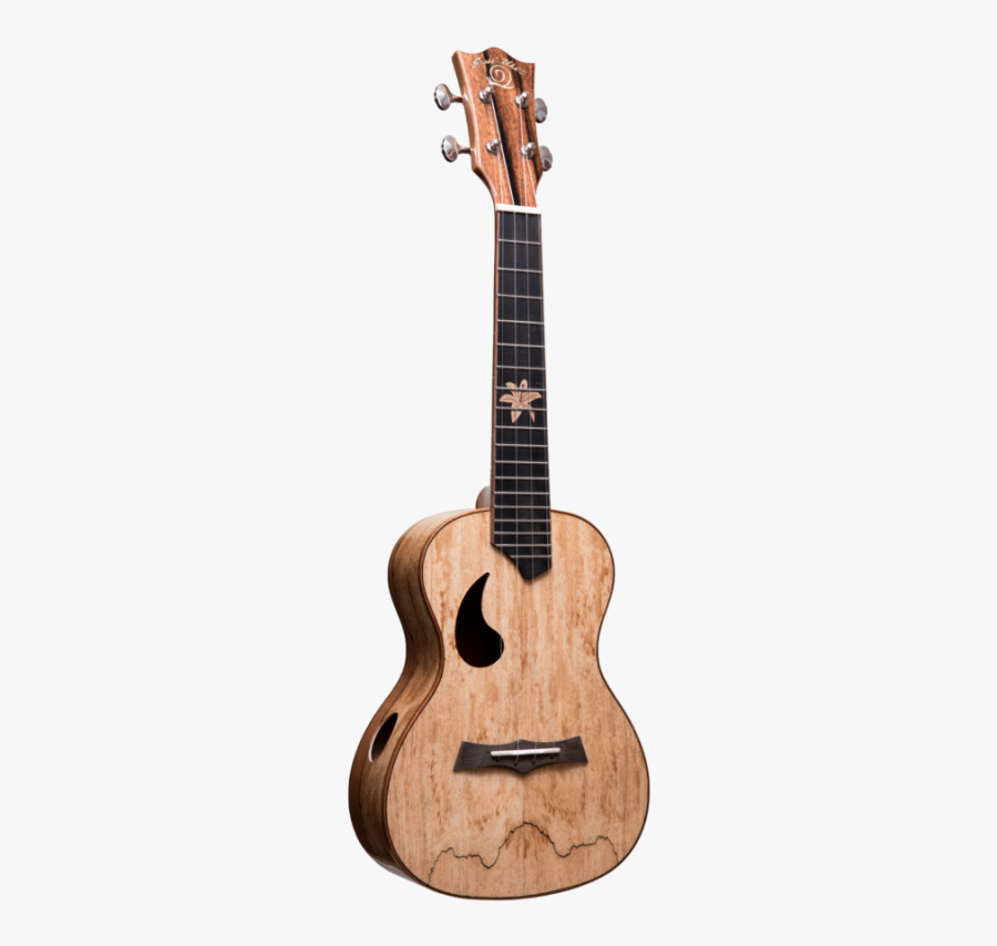 Acoustic Guitar, Transparent Clipart