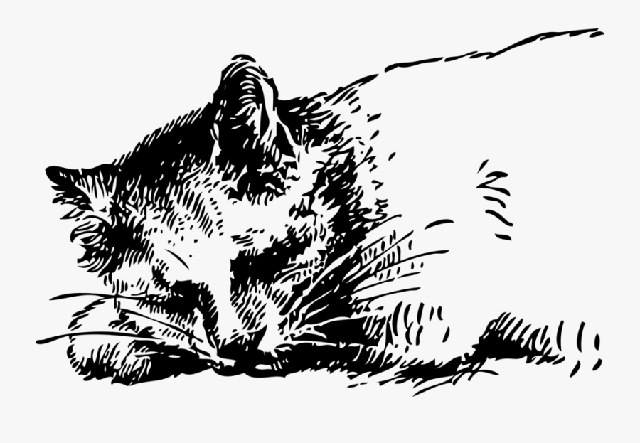 Flask Restful, Transparent Clipart