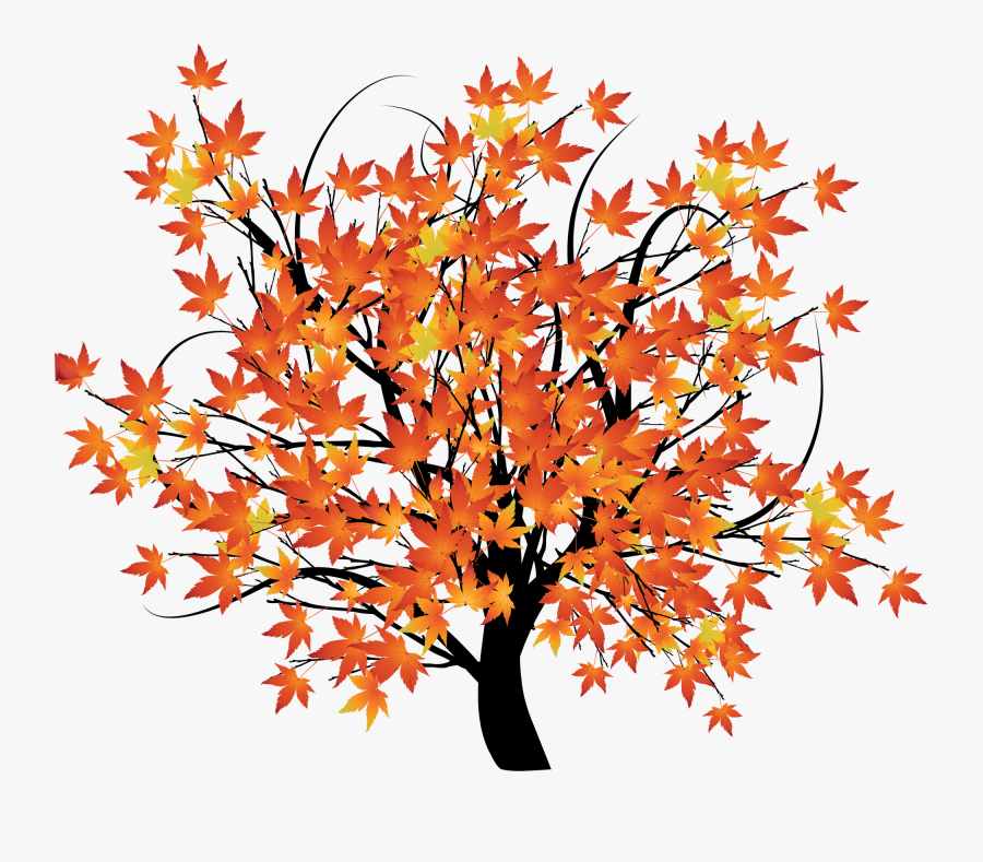 An Autumn Background Scene With Trees - Fall Image Transparent Background, Transparent Clipart