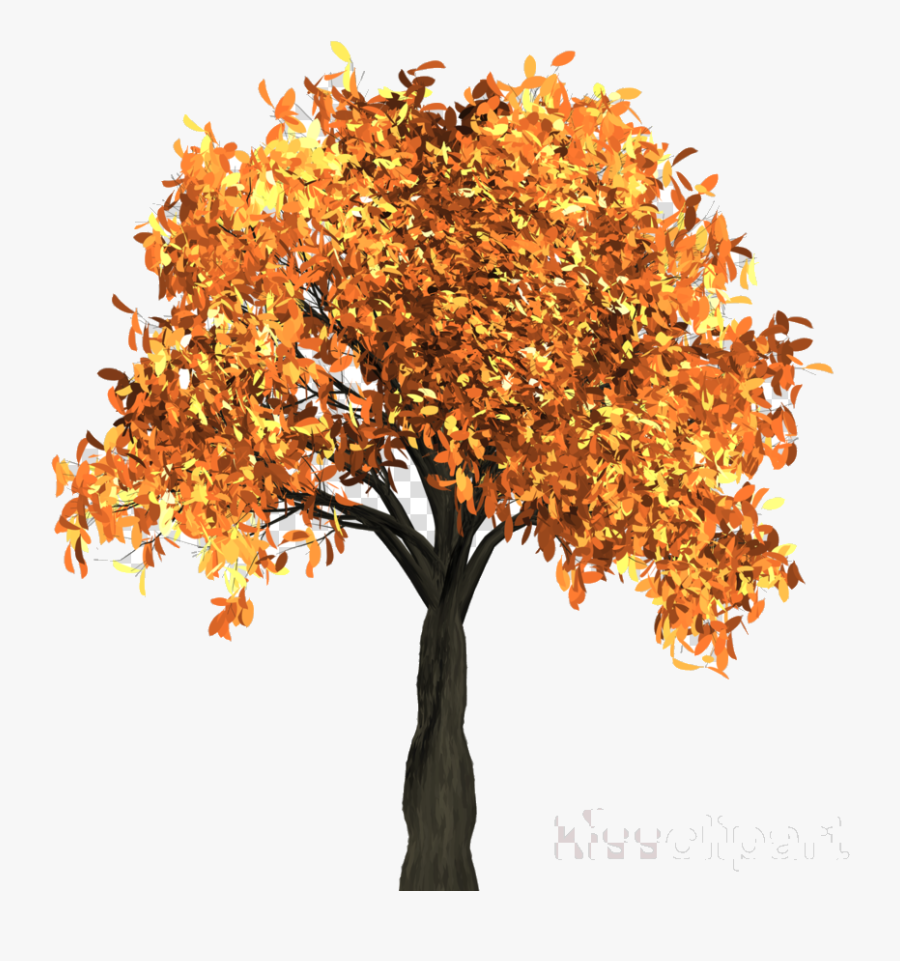 Fall Tree Transparent Clipart Clip Art Png - Autumn Tree Transparent Background, Transparent Clipart