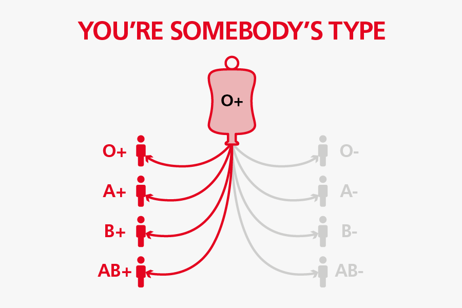 O Positive Blood Group Details, Transparent Clipart