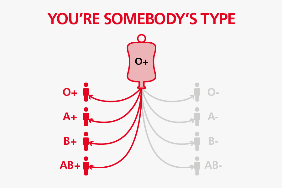 O Positive Blood Group Details Free Transparent Clipart ClipartKey