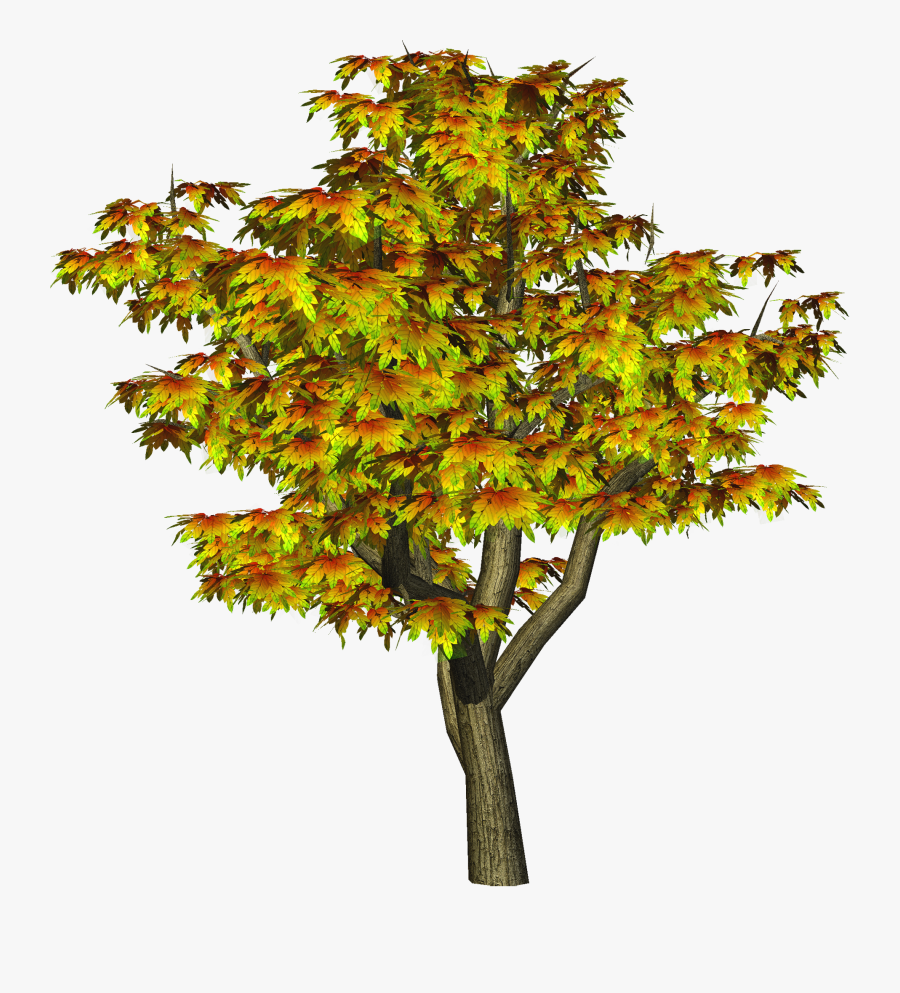 Autumn Tree Png Tree Clipart - Cb Photo Editing Png, Transparent Clipart