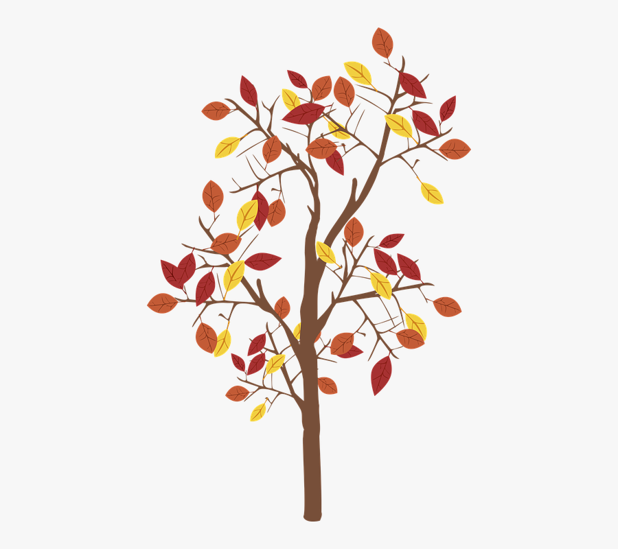 Graphic, Fall Tree, Tree, Leaves, Fall, Brown, Leaf - Fall Tree Graphic, Transparent Clipart