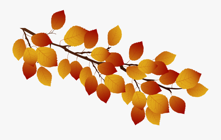 Transparent Autumn Tree Png - Autumn Branch Leaves Png Transparent, Transparent Clipart