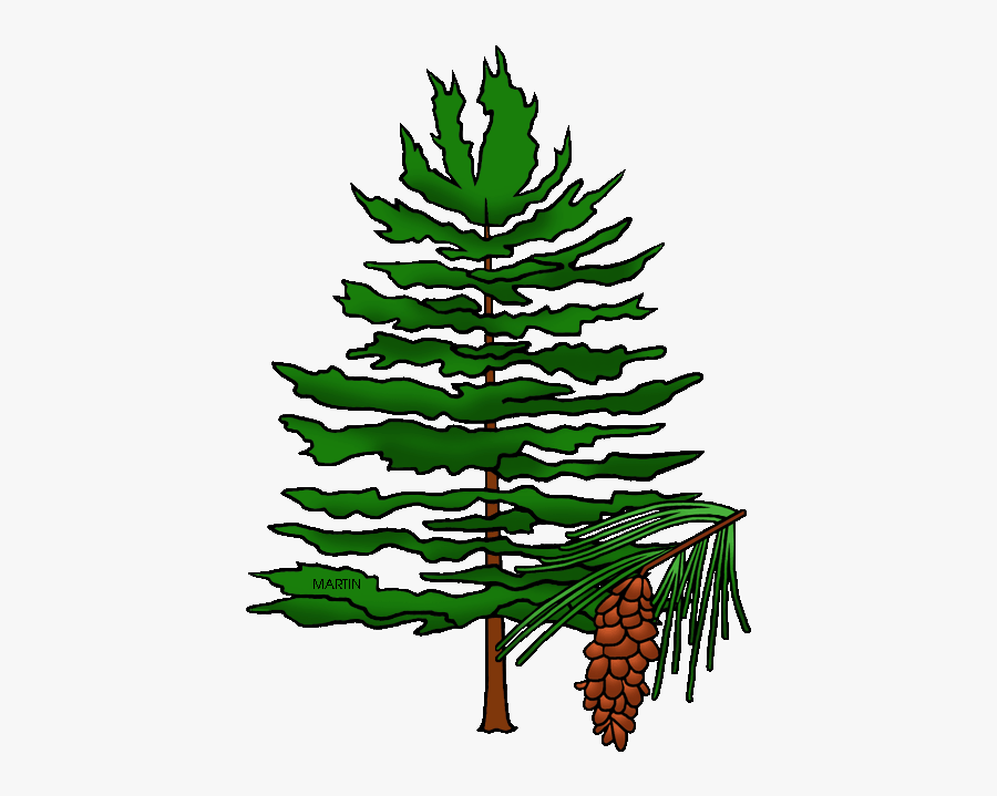 Michigan State Tree White Pine - Eastern White Pine Clip Art, Transparent Clipart