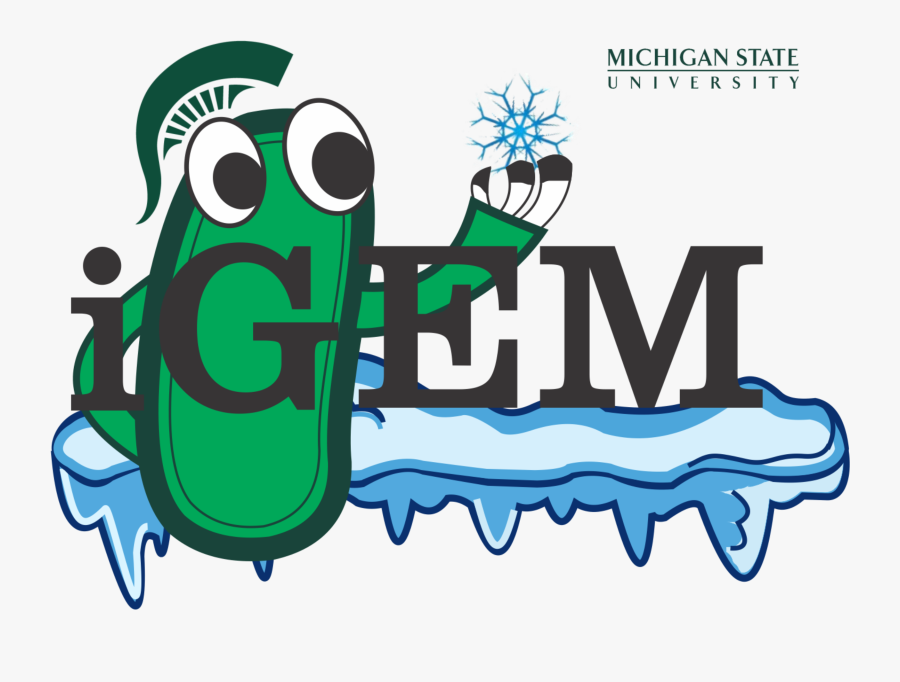 Transparent Michigan State University Logo Clipart - Igem Michigan State University, Transparent Clipart