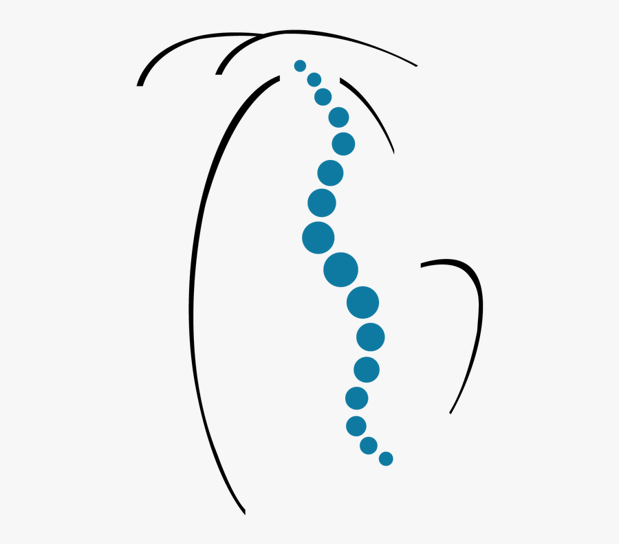 Picture, Transparent Clipart