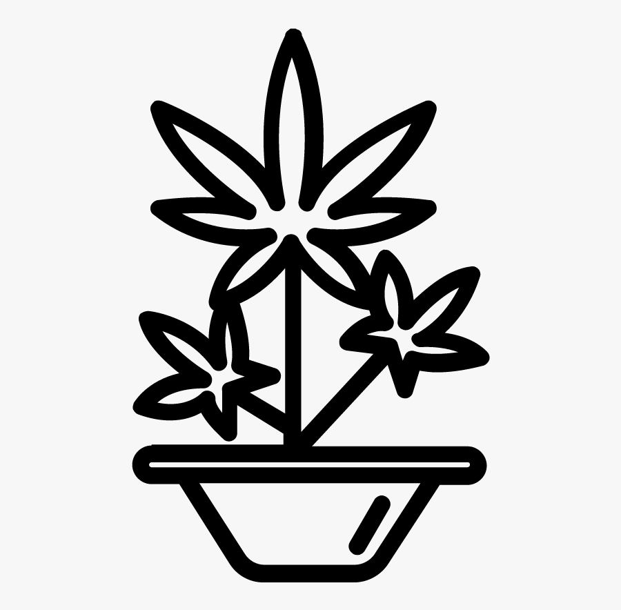 Szkic Marihuany, Transparent Clipart