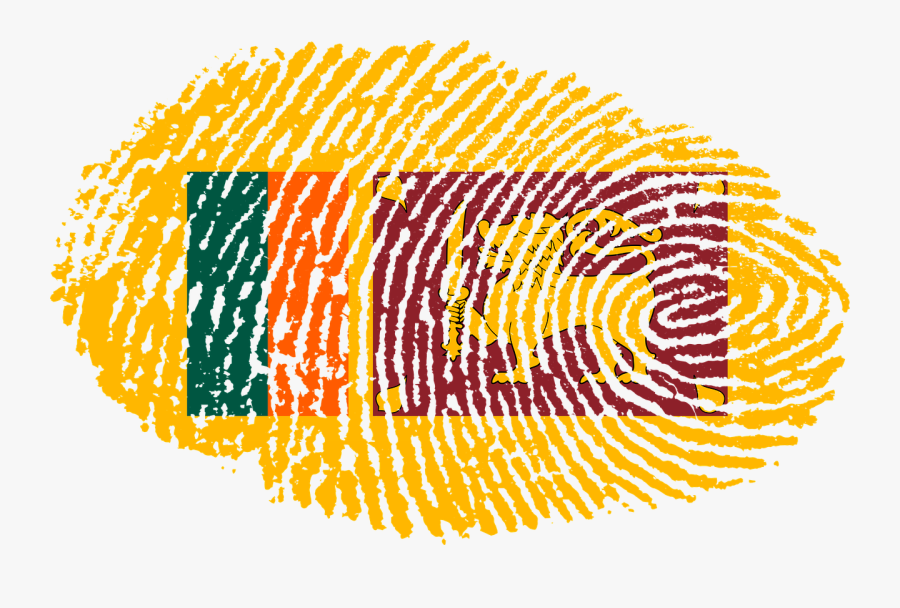 Sri Lanka - New Zealand National Identity, Transparent Clipart