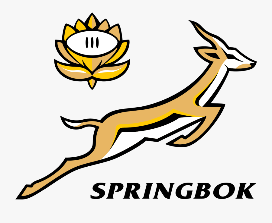 Transparent Springboks Logo, Transparent Clipart