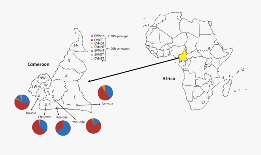 A Map Of Africa Showing The Location Of Cameroon, And - Blank Map Of Africa 1800, Transparent Clipart