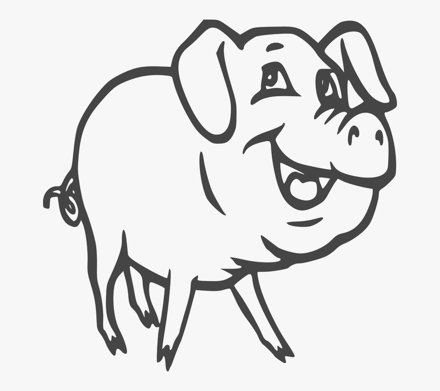 Pig Swine Hog Pork Farm Animal Domestic Meat- - Drawing Of A Hog, Transparent Clipart