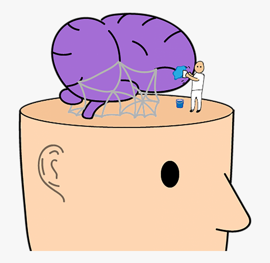 Clip Art, Transparent Clipart