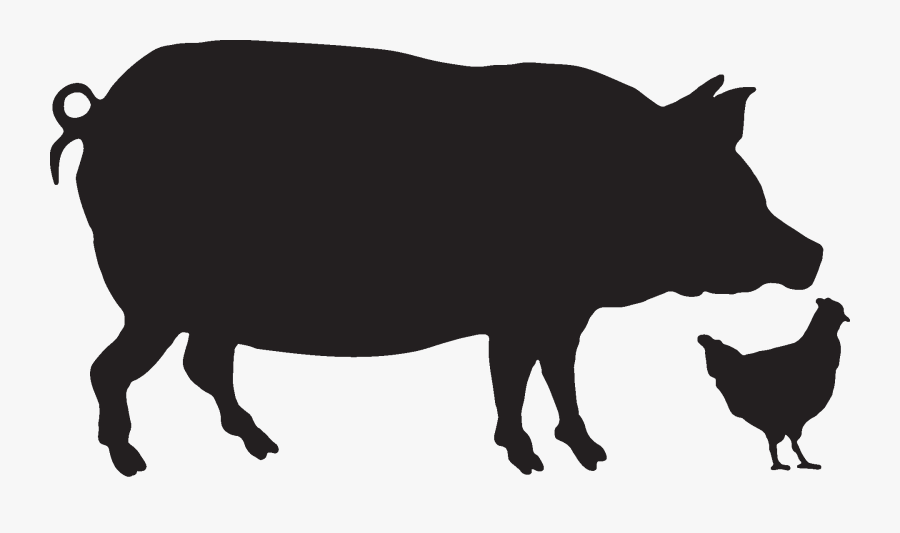 Transparent Hen Png - Clipart Black And White Pig, Transparent Clipart