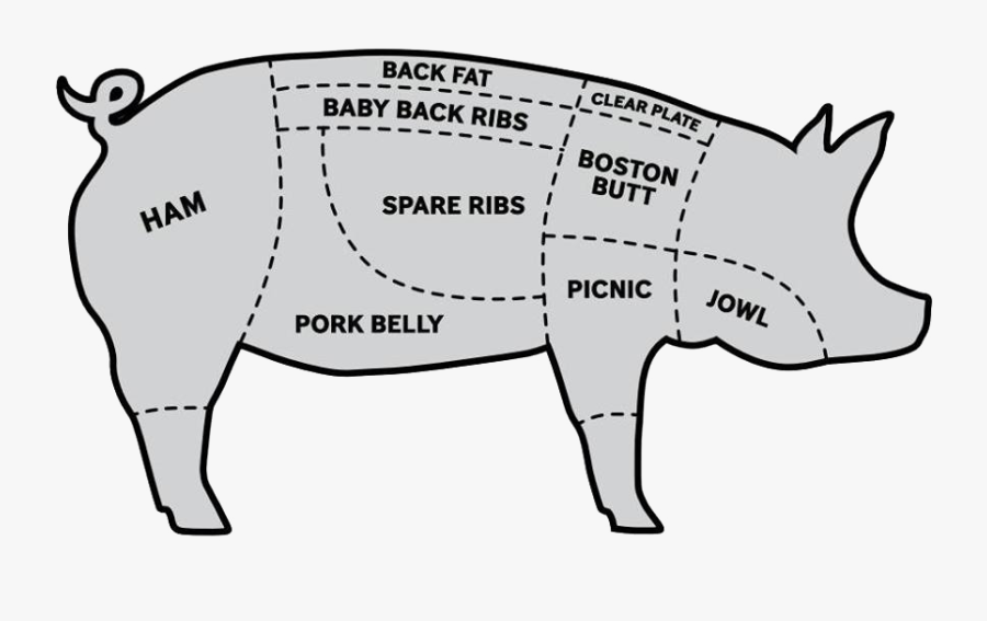 Clip Art Pig Diagram Labeled, Transparent Clipart