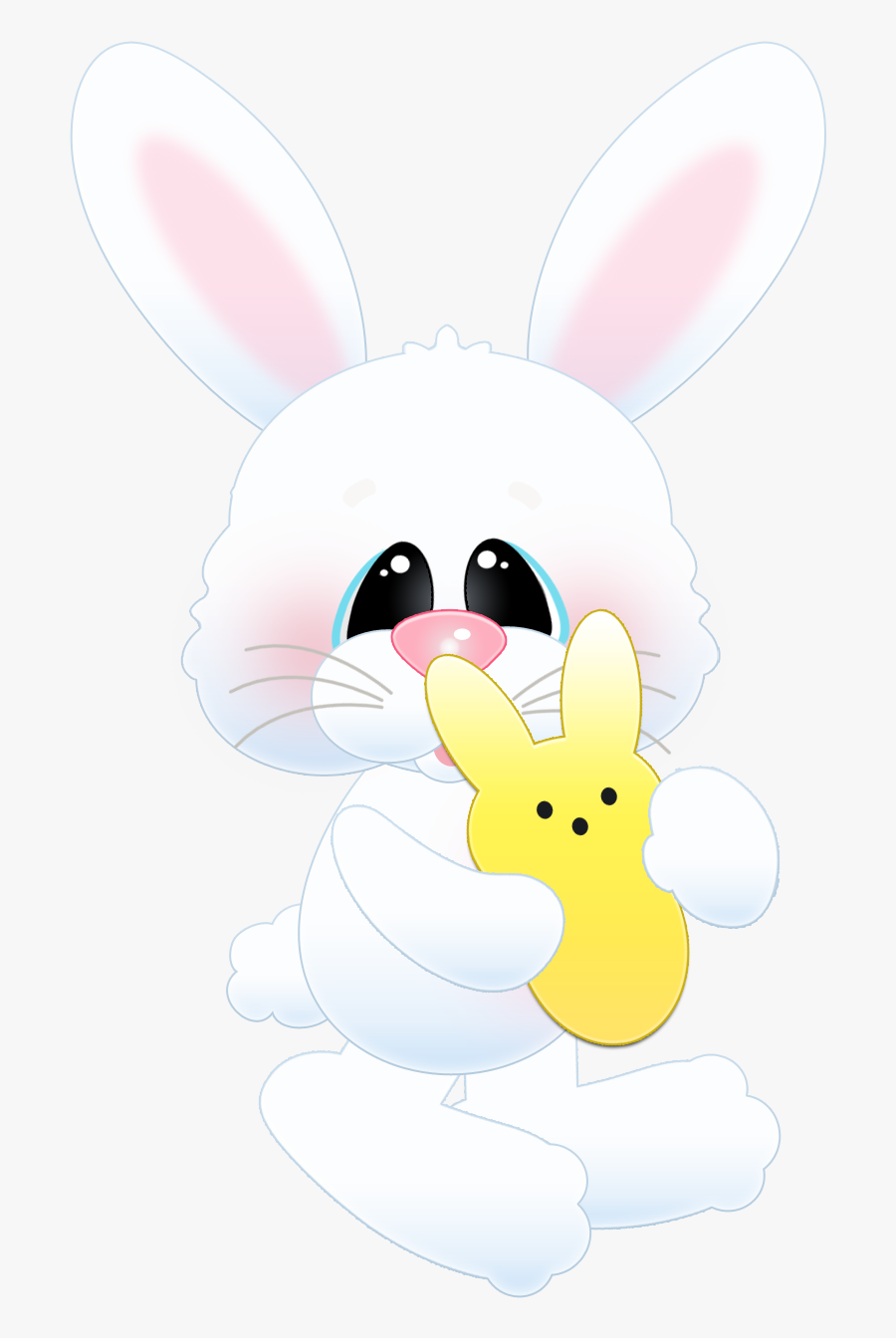 Domestic Rabbit, Transparent Clipart