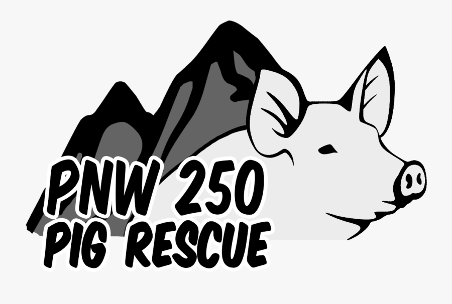 Vouzwr8w - Cartoon, Transparent Clipart
