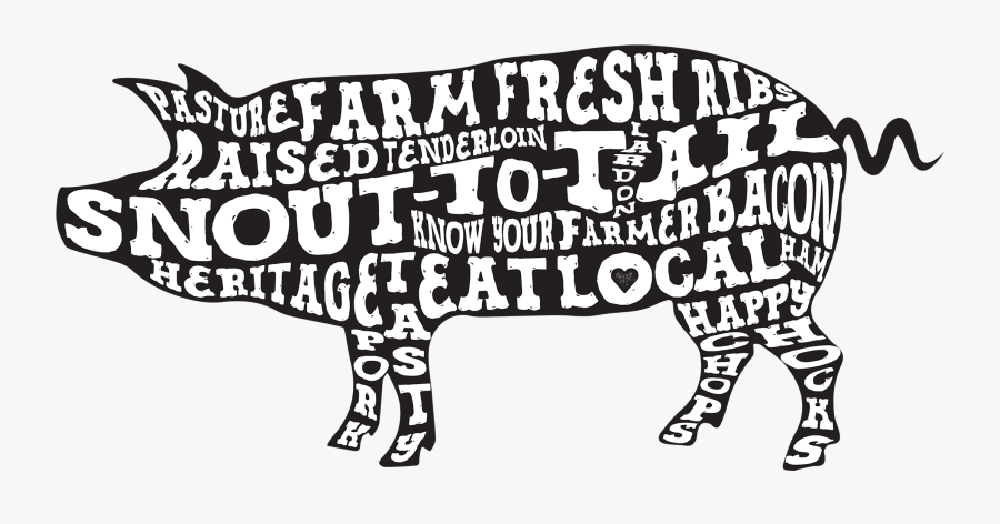 Domestic Pig, Transparent Clipart