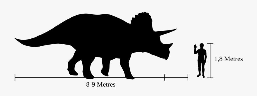 Show Pig Silhouette 9, Buy Clip Art - Triceratops Compared To Human, Transparent Clipart