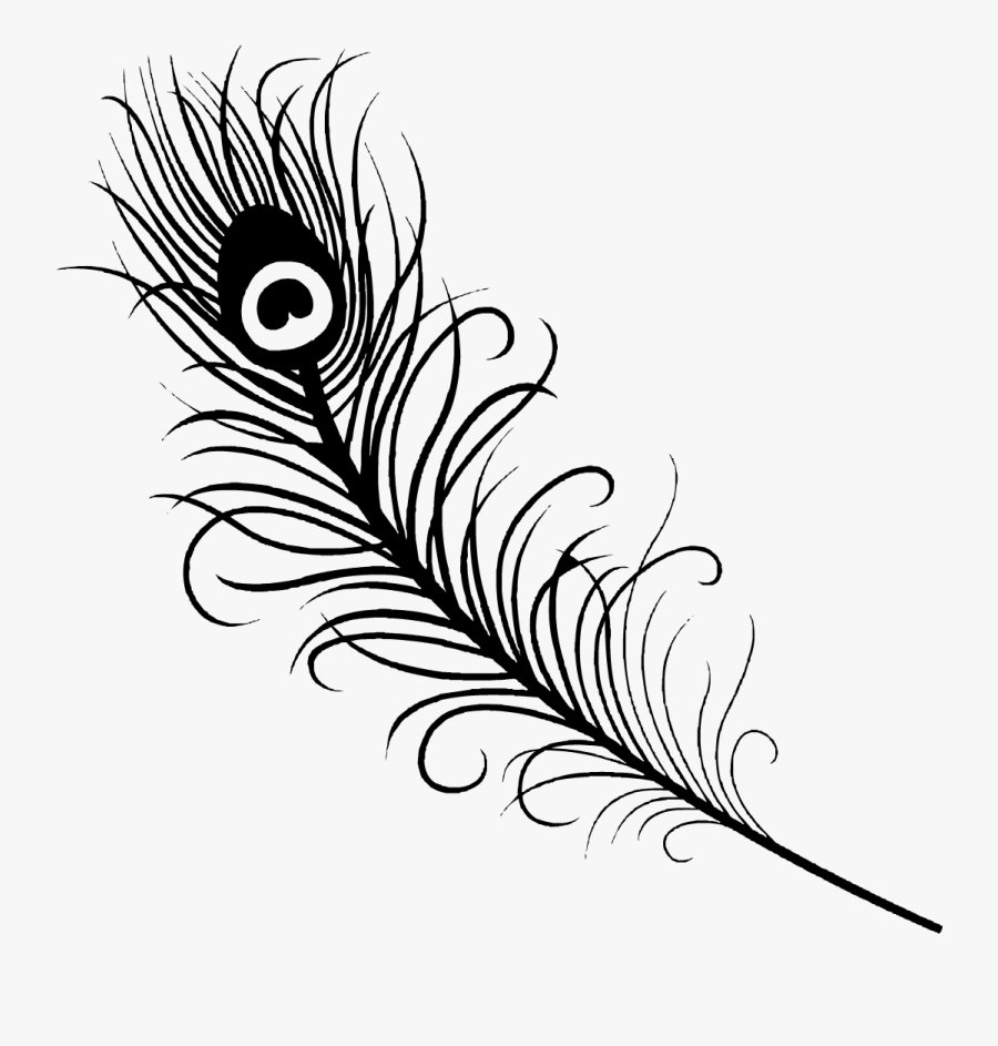 Peacock Tail Drawing At - Peacock Feather Png Black, Transparent Clipart