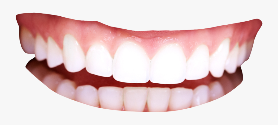 Clip Art Collection Free Transparent Download - Human Teeth Png, Transparent Clipart