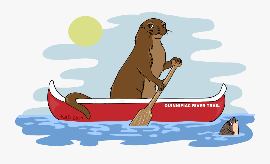 California Sea Lion, Transparent Clipart