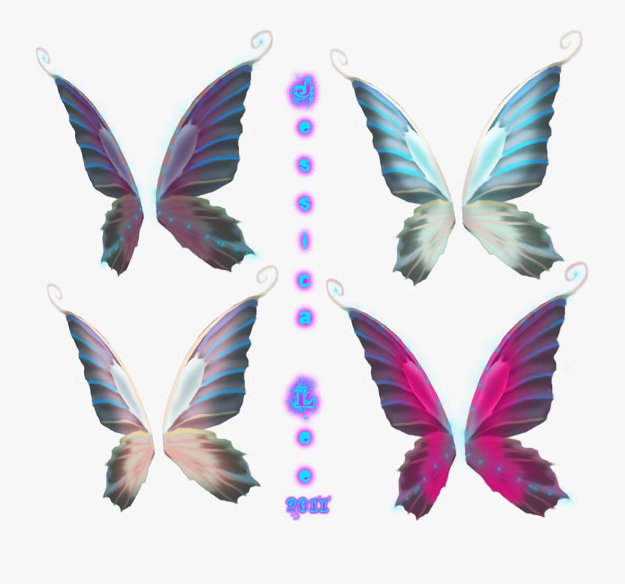 Realistic Fairy Wings Png - Fairy Wing Vector Png, Transparent Clipart