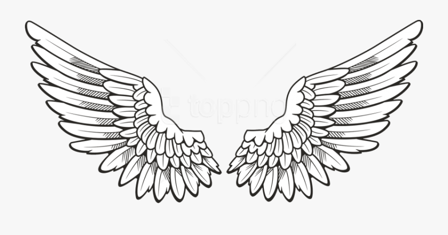 Line Art,wing,black And Art,sketch,eagle - Transparent Background Wings Png, Transparent Clipart