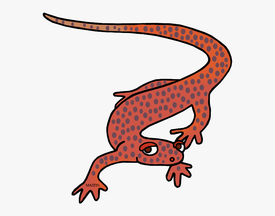 Tennessee State Amphibian - Tennessee Cave Salamander Gif, Transparent Clipart