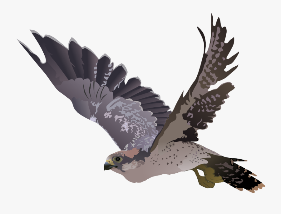 Download Free Falcon Birds Png Transparent Images Transparent - Cartoon Falcon Transparent Background, Transparent Clipart
