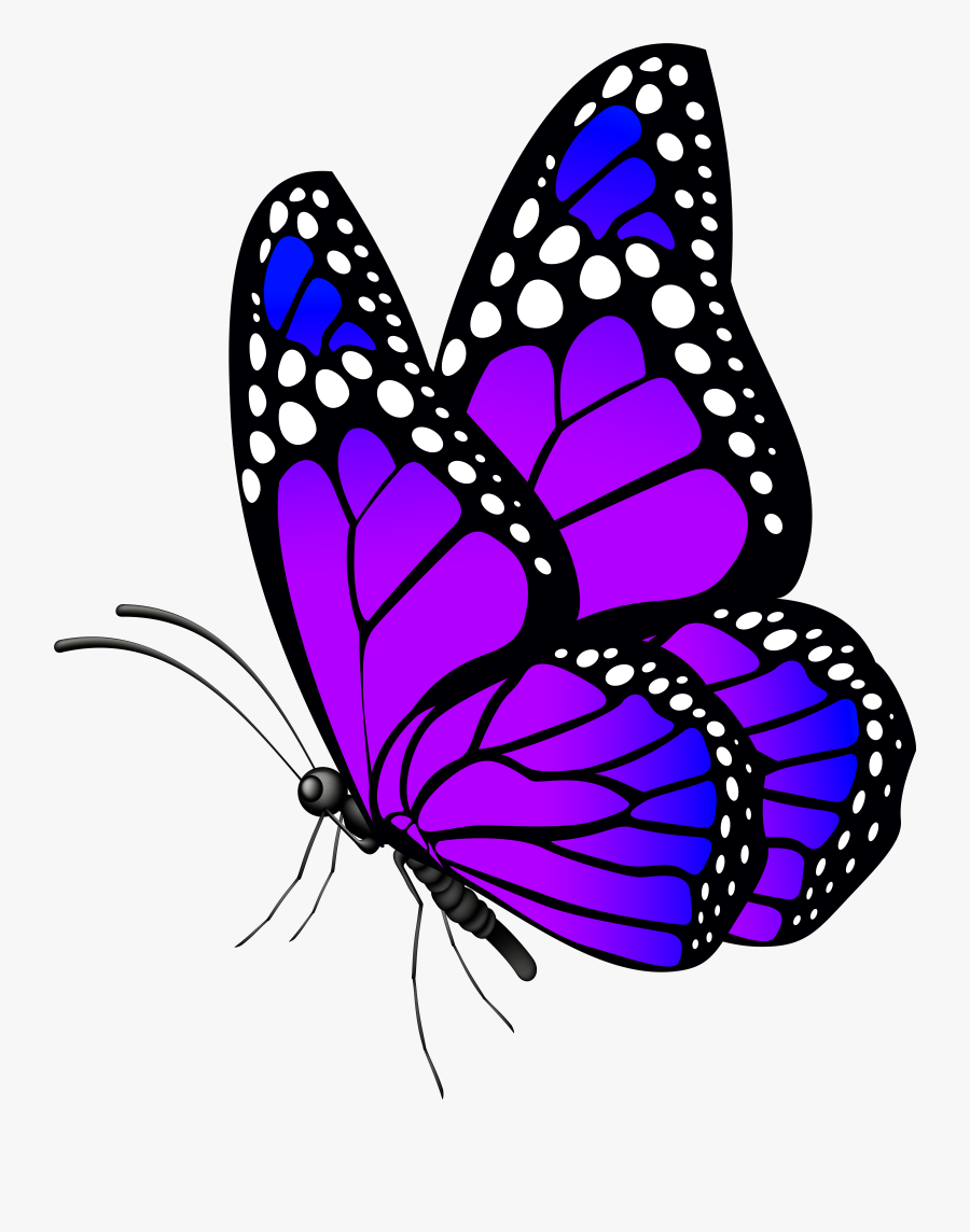 Butterfly Purple Png Clip Art Imageu200b Gallery Yopriceville, Transparent Clipart