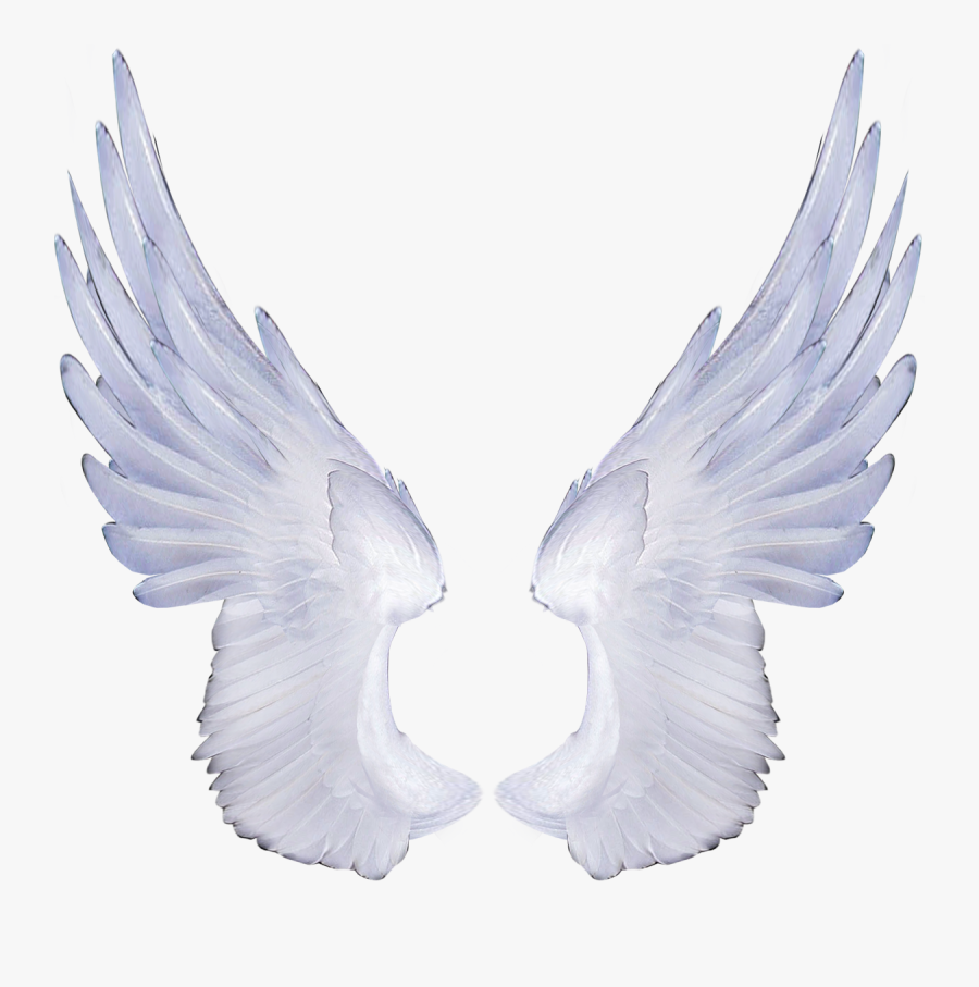 Png Clipart Download Wings - Transparent Background Angel Wings Png, Transparent Clipart