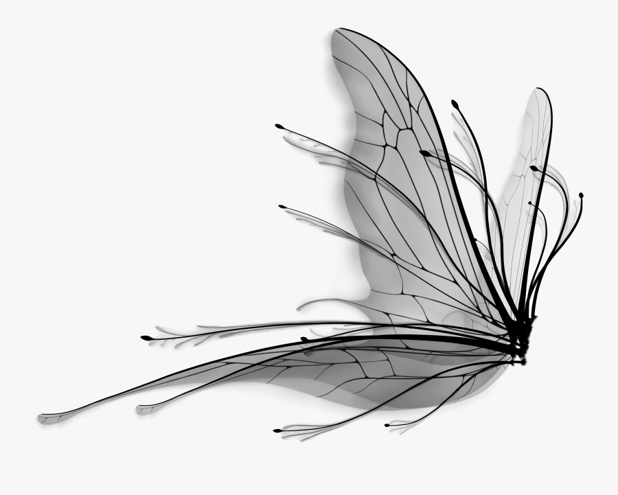 Butterfly Line Product Design Wing Download Hq Png - Line Art, Transparent Clipart