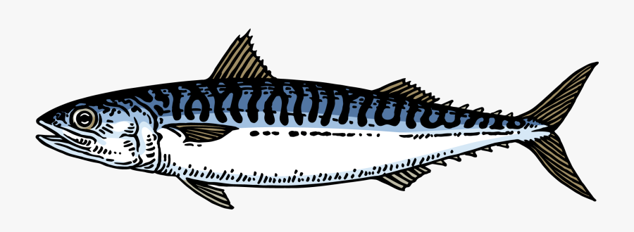 Transparent Igloo Png - Mackerel, Transparent Clipart
