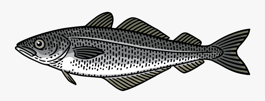 Igloo Clipart Person - Oily Fish, Transparent Clipart