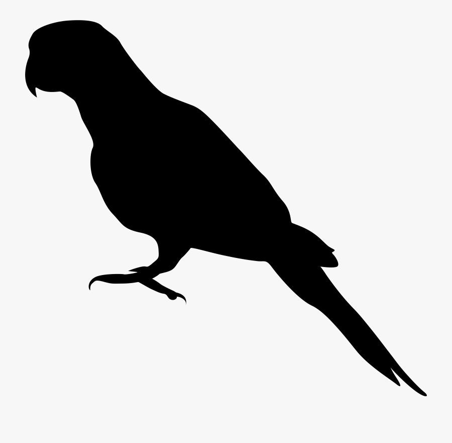Clip Art Black And White Library Parrot Transparent, Transparent Clipart