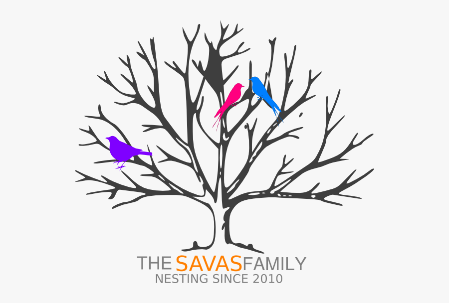 Draw A Winter Tree, Transparent Clipart