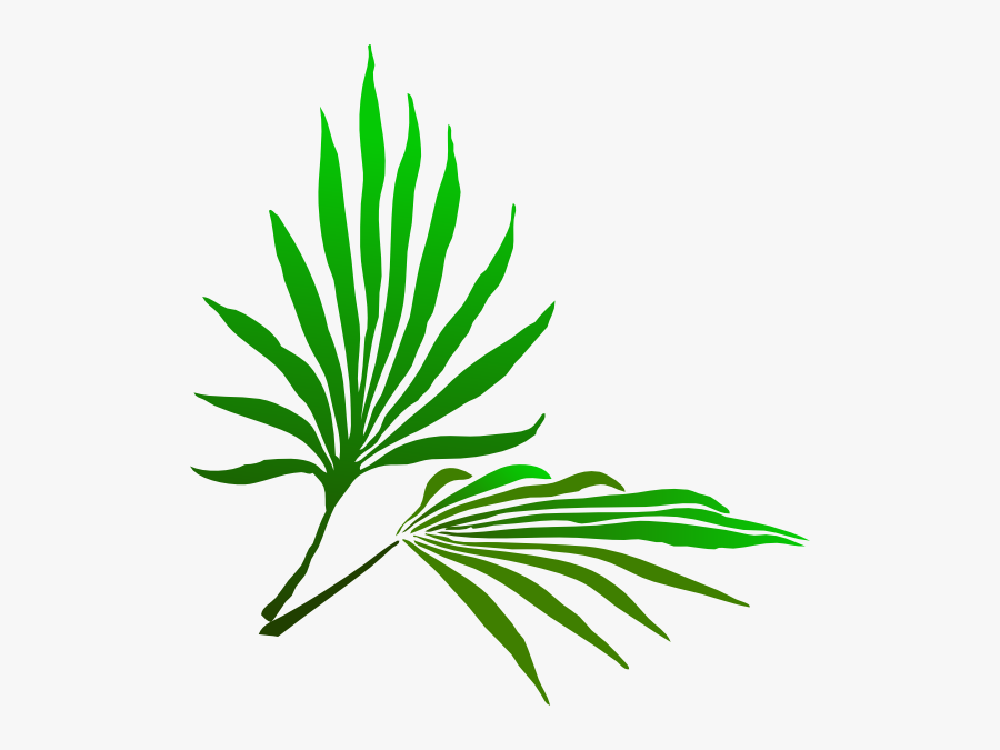 Palm Frond Clip Art, Transparent Clipart