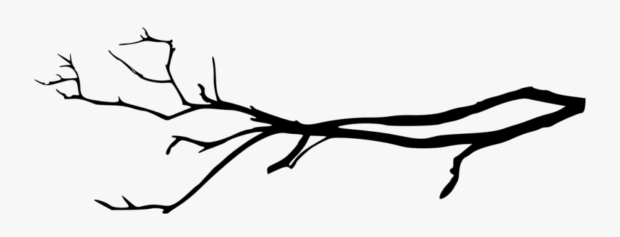 Branch Clipart Simple - Tree Branch Silhouette Png, Transparent Clipart