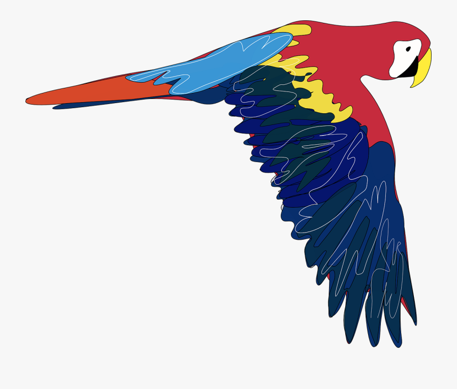 Transparent Pretty Png - Parrot Clip Art, Transparent Clipart