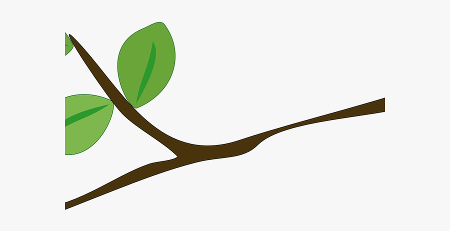La Rama De Un Arbol, Transparent Clipart