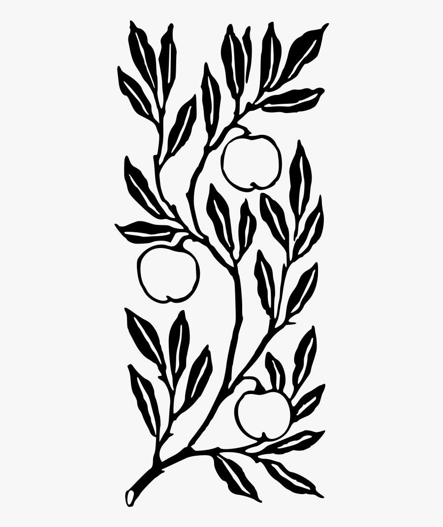 Fruit On A Branch, Transparent Clipart