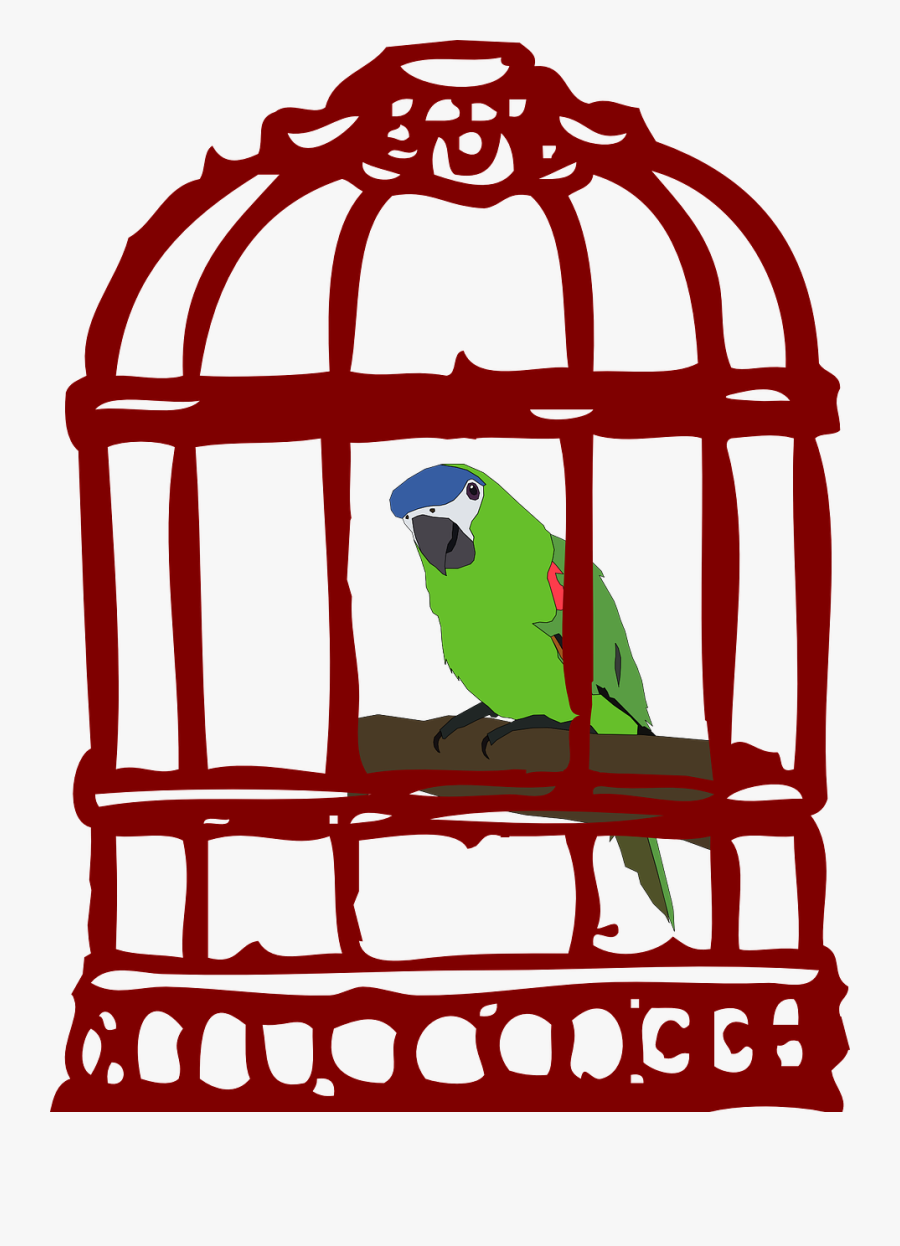 Cage Bird Parrot Free Picture - Bird In Cage Clipart, Transparent Clipart