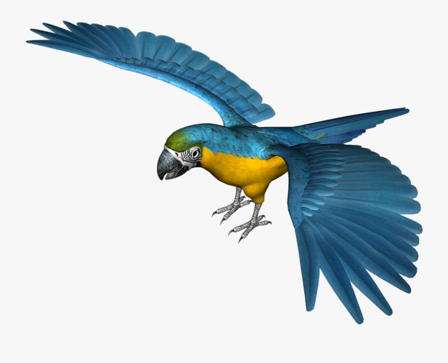 Parrot Clip Art - Blue Parrot Transparent Background, Transparent Clipart